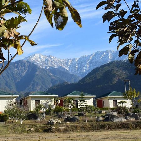 Dhauladhar View Village Resort Dharamshala Exterior photo