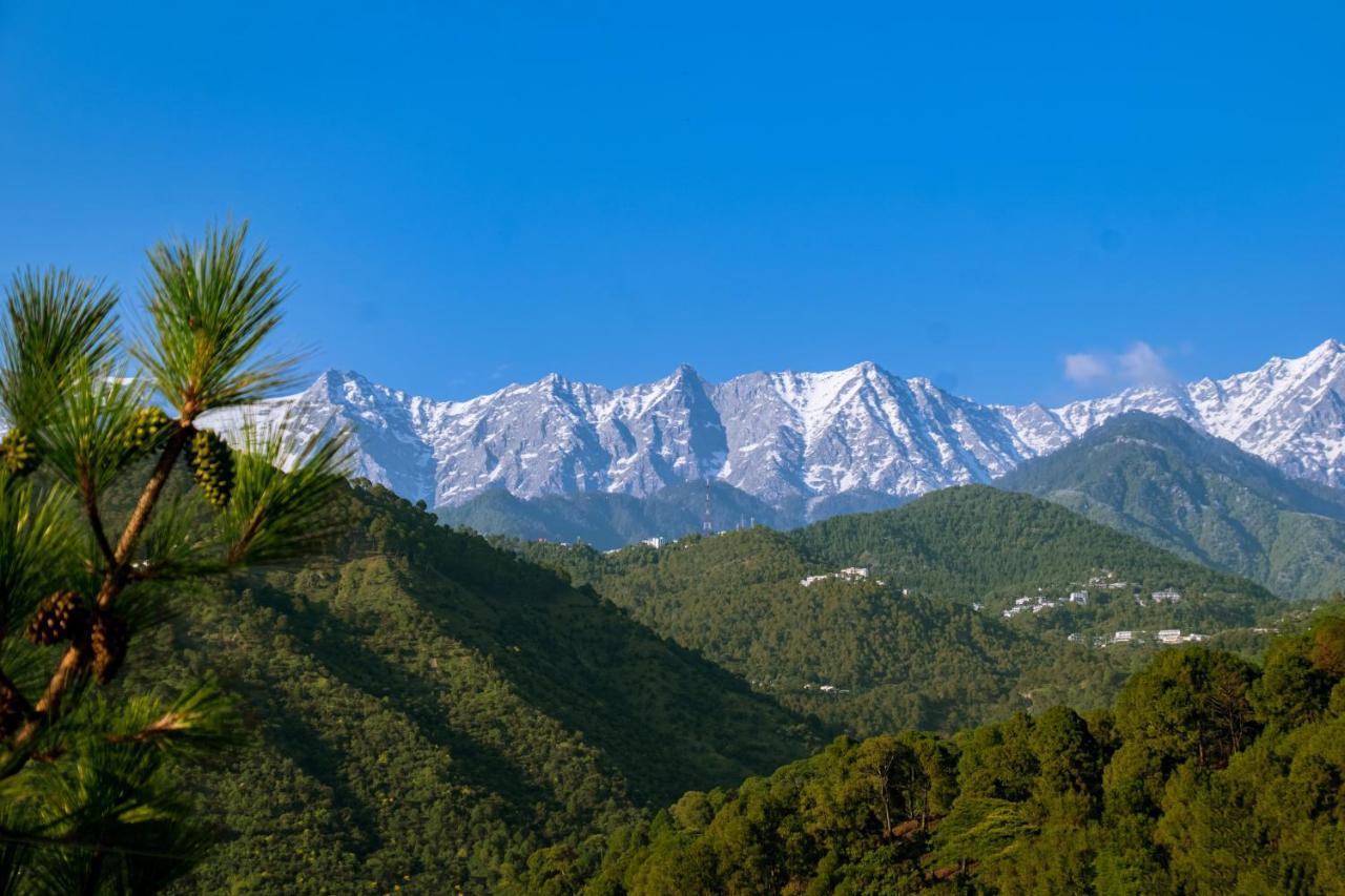 Dhauladhar View Village Resort Dharamshala Exterior photo