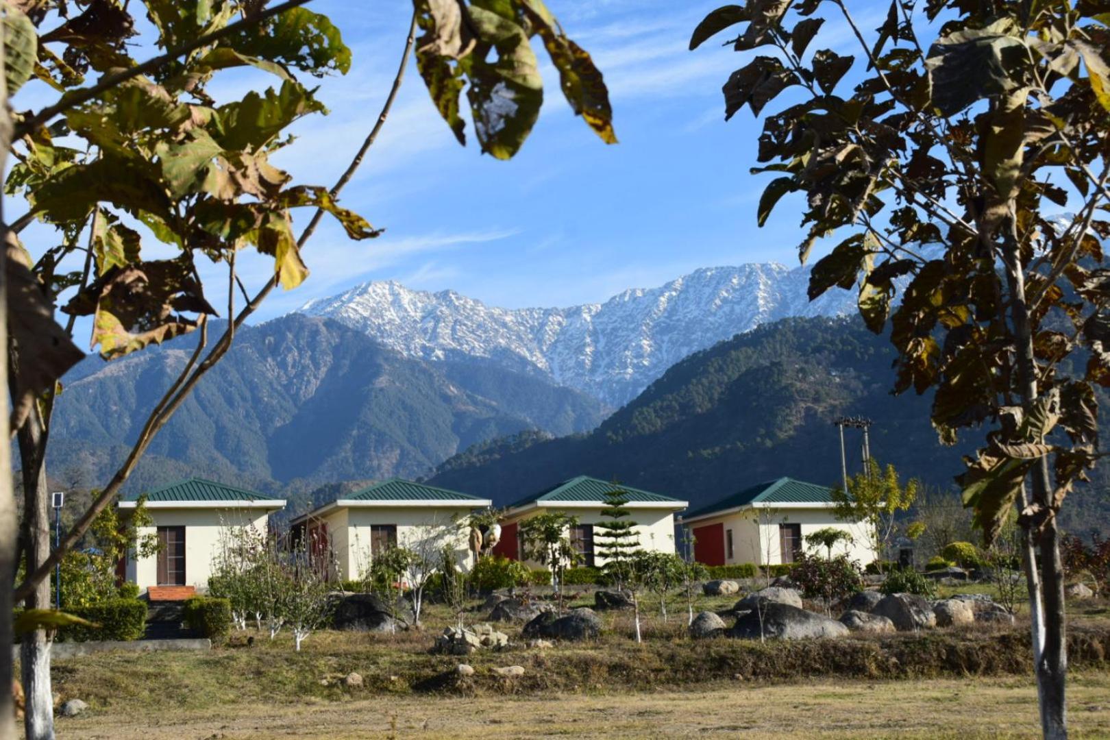 Dhauladhar View Village Resort Dharamshala Exterior photo